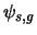 $\psi_{s,g}$