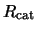 $R_{\rm cat}$
