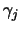 $\gamma_{j}$