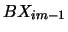 $BX_{im-1}$