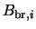 $\displaystyle B_{{\rm br},i}$