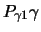 $\displaystyle P_{\gamma 1} \gamma$