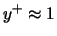 $y^+ \approx 1$