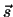 ${\vec s}$