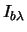 $I_{b \lambda}$