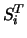 $S_{i}^{T}$