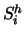 $S_{i}^{h}$