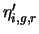 ${\eta}'_{i,g,r}$