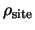 $\rho_{\rm site}$
