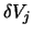 $\delta V_j$