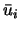 $\bar{u}_i$