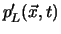 $p'_L ({\vec x}, t)$