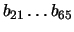 $b_{21} \ldots b_{65}$