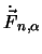 $\dot{\vec{F}}_{n,\alpha}$