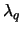 $\lambda_q$