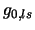 $g_{0,ls}$