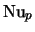 ${\rm Nu}_p$