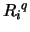 ${R_{i}}^q$