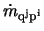 $\dot{m}_{\rm q^j p^i}$