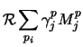 $\displaystyle {\cal R}\sum_{p_{i}}\gamma^p_jM^p_j$