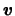 ${\mbox{\boldmath$v$}}$