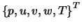 $\left\{p, u, v, w, T \right\}^T$