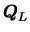 ${\mbox{\boldmath$Q$}}_L$