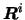 ${{\mbox{\boldmath$R$}}}^{i}$