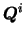${\mbox{\boldmath$Q$}}^{i}$