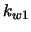 $k_{w1}$