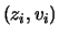 $(z_i,v_i)$