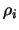 $\rho_i$