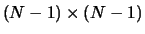 $(N-1)\times(N-1)$