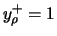 $y_{\rho}^+ = 1$