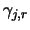 $\gamma_{j,r}$