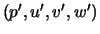 $(p',u',v',w')$