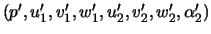 $(p',u'_1,v'_1,w'_1,u'_2,v'_2,w'_2,\alpha'_2)$