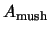 $A_{\rm mush}$