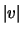 $\vert v\vert$