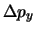 $\displaystyle \Delta p_y$