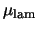 $\mu_{\rm lam}$