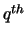 $q^{th}$